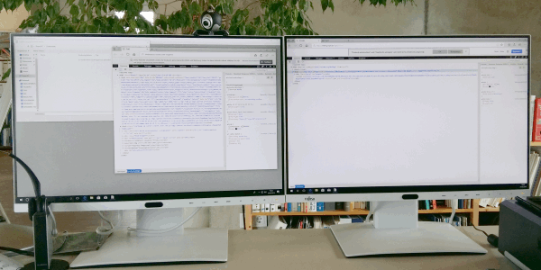 Software entwickeln lassen